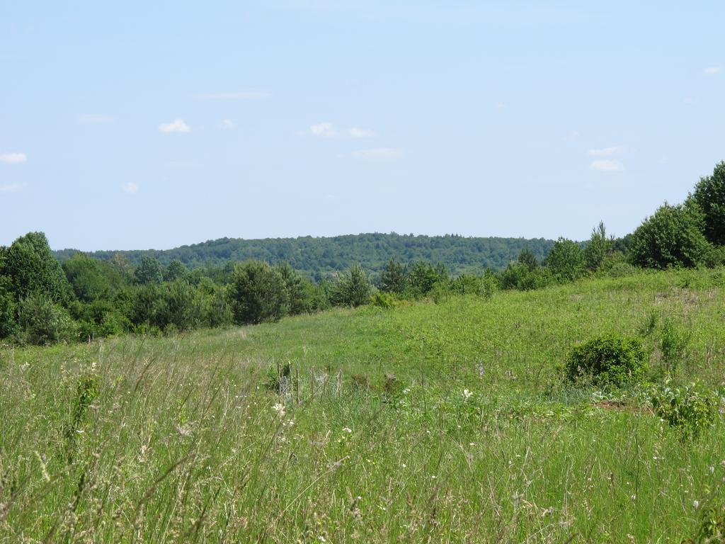 Rupcic Grabovac (Karlovac)